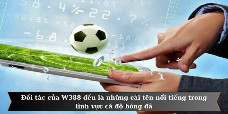 Đối tác của W388 đều là những cái tên nổi tiếng trong lĩnh vực cá độ bóng đá