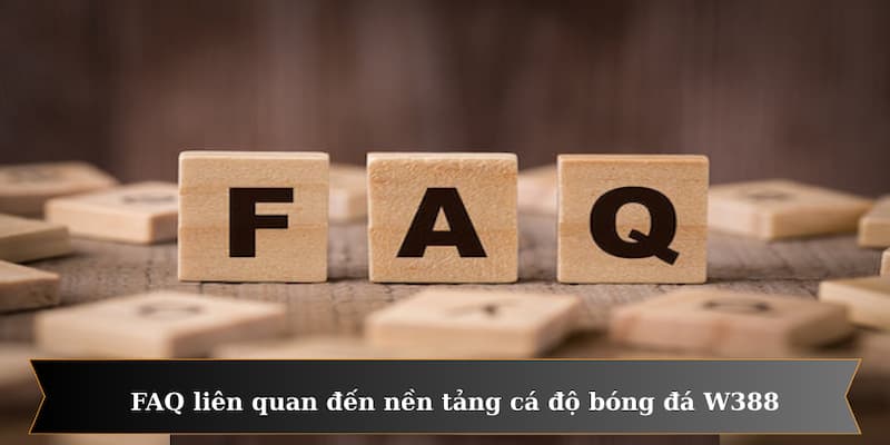 FAQ liên quan đến nền tảng cá độ bóng đá W388