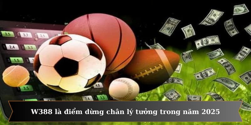 W388 là điểm dừng chân lý tưởng trong năm 2025