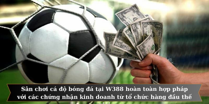 Sân chơi cá độ bóng đá tại W388 hoàn toàn hợp pháp với các chứng nhận kinh doanh từ tổ chức hàng đầu thế giới